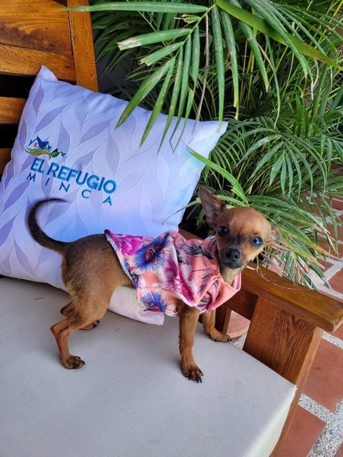 El Refugio Minca Hotel ภายนอก รูปภาพ